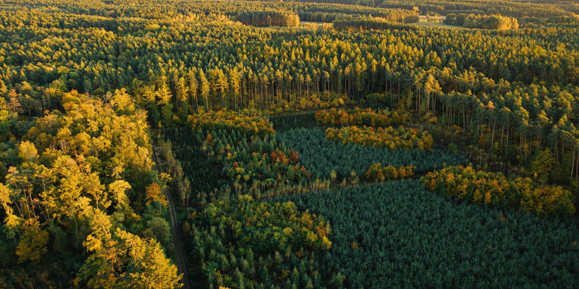 Illustration for newsitem PCAF surpasses 600 signatories 