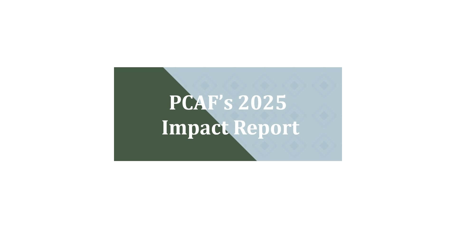 Illustration for newsitem PCAF Released its 2025 Annual Impact Report