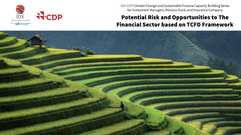 Non-Banking Financial Institution Capacity Building Series on Climate Change: TCFD - climate change risk and opportunity