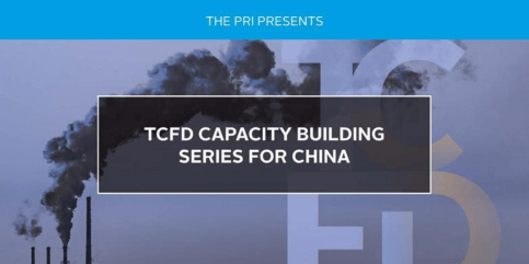 TCFD Capacity Building Series for China: Metrics and Targets