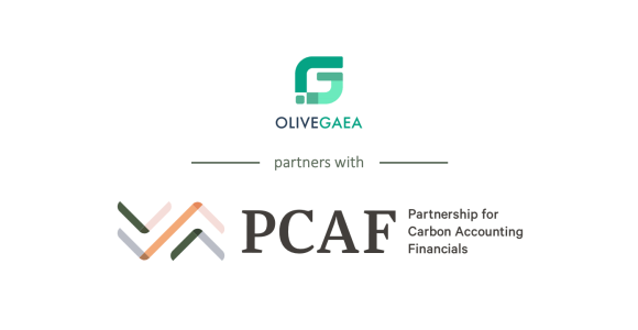 PCAF Announces Olive Gaea as First MENA Regional Accredited Partner 